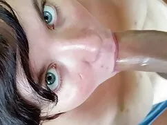 彼はフェンスに彼の猫をもたらします 女性 ...