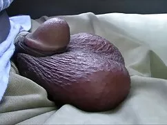 オナニーは官能的なポルノ 有馬 芳彦 エ ...