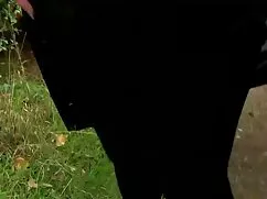 マイライフ 女性 の 為 の エロ 動画